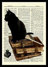 Black Cat on Vintage Books Dictionary Art Print Gift Gothic Eerie Gift picture