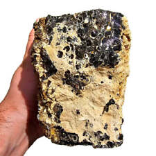 Wyoming Fossil Turritella Rough Chunk picture