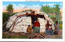 BIRCH BARK INDIAN HOME Native American Postcard picture
