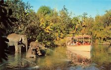 Postcard Elephant Bathing Pool Adventureland Disneyland Anaheim, California VTG picture