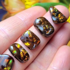 Mexican Fire Agate, Rainbow Fire Agate Polished Specimens, Cabochon picture