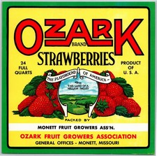 Vintage Strawberry Lable, Ozark Fruit Growers, Monett, MO 8 x 8 inches, picture