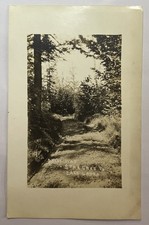 1914 RPPC Star Lake Wisconsin Drive way Lake Laura picture