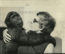 1968 Press Photo Rhea Eckert-Schweitzer hugs a gorilla in San Diego - lrx52519 picture