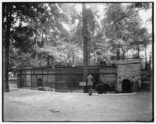 Photo:Detroit Mich Belle Isle Park Bear Pit 1900s Zoo Exhibit picture