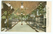 Tamaqua, Pennsylvania, S. Livingstone's Big Store (TmiscPA15 picture