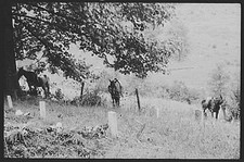 Photo:Campton Kentucky Wolfe County KY 1940s FSA Horse Field Scene picture