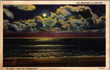Moonlight On Lake Erie In Ohio's Lake Erie Vacationland Vintage Postcard TP15-4 picture