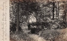 RPPC Letchworth Park Upstate New York Portage sulphur springs Photo Postcard H28 picture
