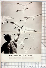 Vintage LIFE Magazine Page Joe Bell Feeding Seagulls Coronado Island Print picture