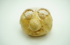 Vintage Studio Pottery Miniature Face Sculpture Whimsical One of Kind Clay OOAK picture