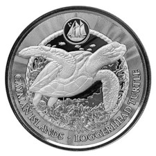 2024 LOGGERHEAD TURTLE 1 oz 9999 Fine Silver Coin Cayman Islands BU Scottsdale picture