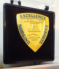 American Nurses Nursing Excellence Services Credentialing Center Recognition Pin picture