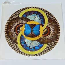 Butterfly Wing Folk Art Handmade Collage lue Yellow Vintage Taxidermy 17 x 17 picture