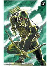 Absolute Green Arrow #6 MIKE GRELL Retailer Exclusive VIRGIN VARIANT 1st picture