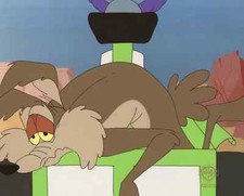 Wile E. Coyote Original Production Cel/Drawing-Chariots of Fur picture