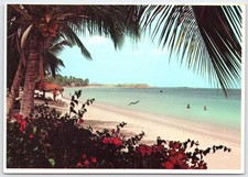 Vintage Florida Coconut Palms Beach Postcard by Plastichrome Prestige Print picture