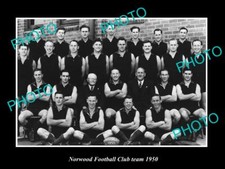 OLD LARGE HISTORIC PHOTO OF THE SANFL NORWOOD FOOTBALL CLUB TEAM 1950 PREMIERS picture