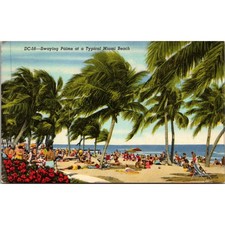 Swaying Palms At A Typical Miami Beach FL Vintage Postcard SP17-22 picture