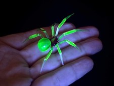 Uranium Vaseline Spider Made In The USA 🇺🇸 🇺🇸 🇺🇸 🇺🇸in Stock Now picture