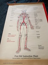1933 American Red Cross First Aid Instruction Chart Poster 35 by 22 Inches picture