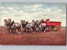 c1910 Swift & Company Prize Draft Team Missouri State Fair Sedalia MO Postcard picture