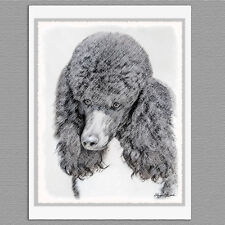 6 Standard Poodle Parti Black and White Dog Blank Art Note Greeting Cards picture