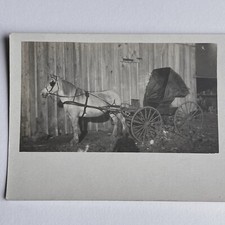 Antique RPPC Real Photograph Postcard Beautiful White Horse & Buggy Farming picture