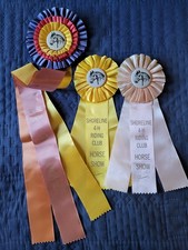Shoreline Riding Club Horse Show Ribbons Equestrian Events Vintage Awards 1974 picture