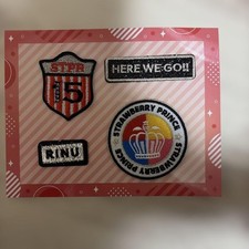 STPR STPR Loves Lien Sutopuri Embroidered Patch Set 14+ picture