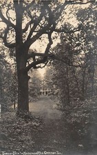 G20/ Oregon Illinois RPPC Postcard c1920s Forest Path Heckman Home 12 picture