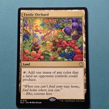 MTG: Exotic Orchard Commander: Bloomburrow Regular picture