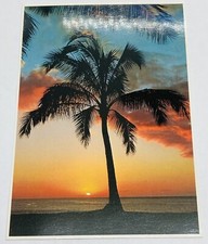 Vintage 1977 Impact Postcard Sunset Moods John Wagner Hawaii Palm Tree Photo P2 picture