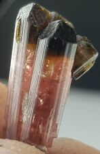 4.40 CT Natural Terminated Pink Color TOURMALINE Twins Crystal From Afg picture
