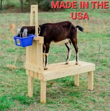 Goat Hoof & Milk Stand for Dwarf and Pygmy Goats 32