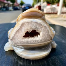 450G Natural Amethyst agate geode quartz crystal Hand carved Golden Toad picture