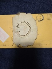 Vintage 19th Century Heirloom Out Memorial Family Hair Token Album picture