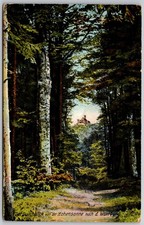 Vintage German Postcard Forest View Toward Wartburg Castle Scenic Art picture
