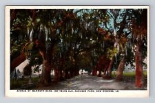 New Orleans LA-Louisiana, Audubon Park, Avenue of Mammoth Oaks Vintage Postcard picture