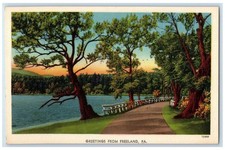 c1940's Trees Road River Scene Greetings from Freeland Pennsylvania PA Postcard picture