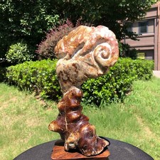 3.98LB Large Natural Beautiful Ammonite Fossil Conch Crystal Specimen Healing picture