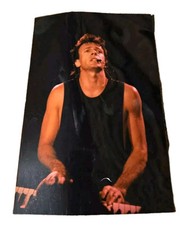 Photograph Rick Springfield Singer Actor Concert Souvenir Photo 6 X 4 picture