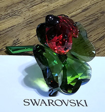 🐞 Swarovski Crystal 2024