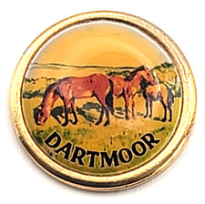 Dartmoor Ponies England Wild Horses Wildlife Countryside Souvenir Travel Pin VTG picture