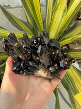 852g Natural Smoky Quartz Cluster Energy Crystal Reiki Healing Decor picture