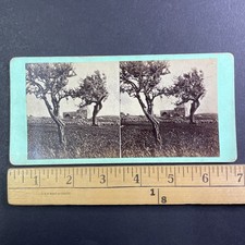 Rachel's Tomb Bethlehem Stereoview Olive Trees Holy Land Palestine picture