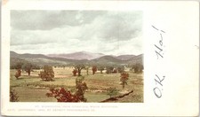 Mount Washington Intervale NH 1905 Posted Undivided Back Postcard picture