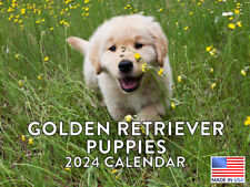 Golden Retriever Puppy Dog Lovers Gift 2024 Wall Calendar picture