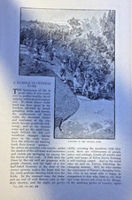 1879 Central Park New York City Cave Swans Goat Carriage Elephants illustrated picture