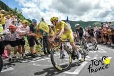 Tadej Pogacar Tour de France Cycling Poster Poster Print 40x60 cm picture